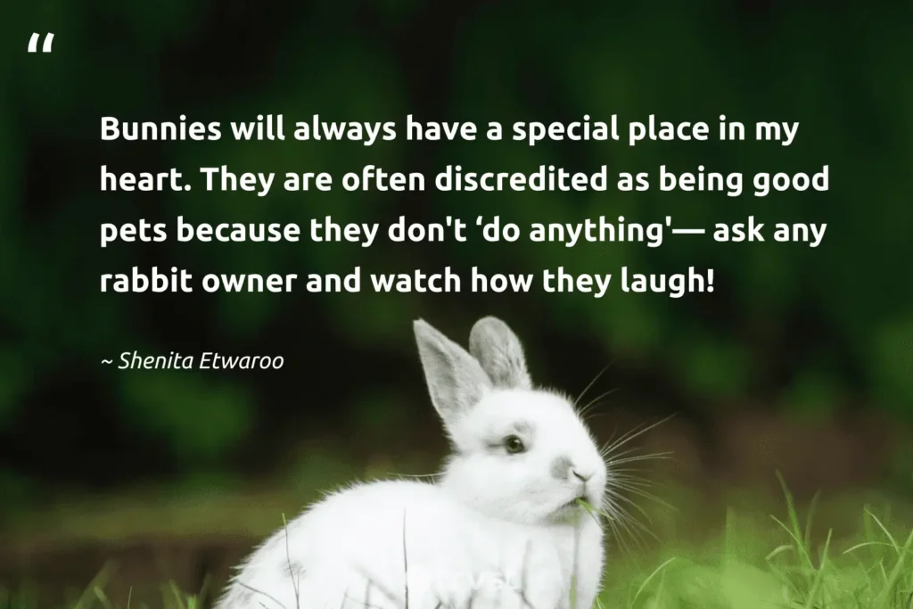Bunny Quotes