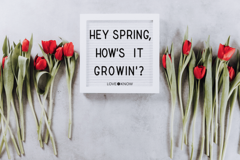 Funny Spring Quotes