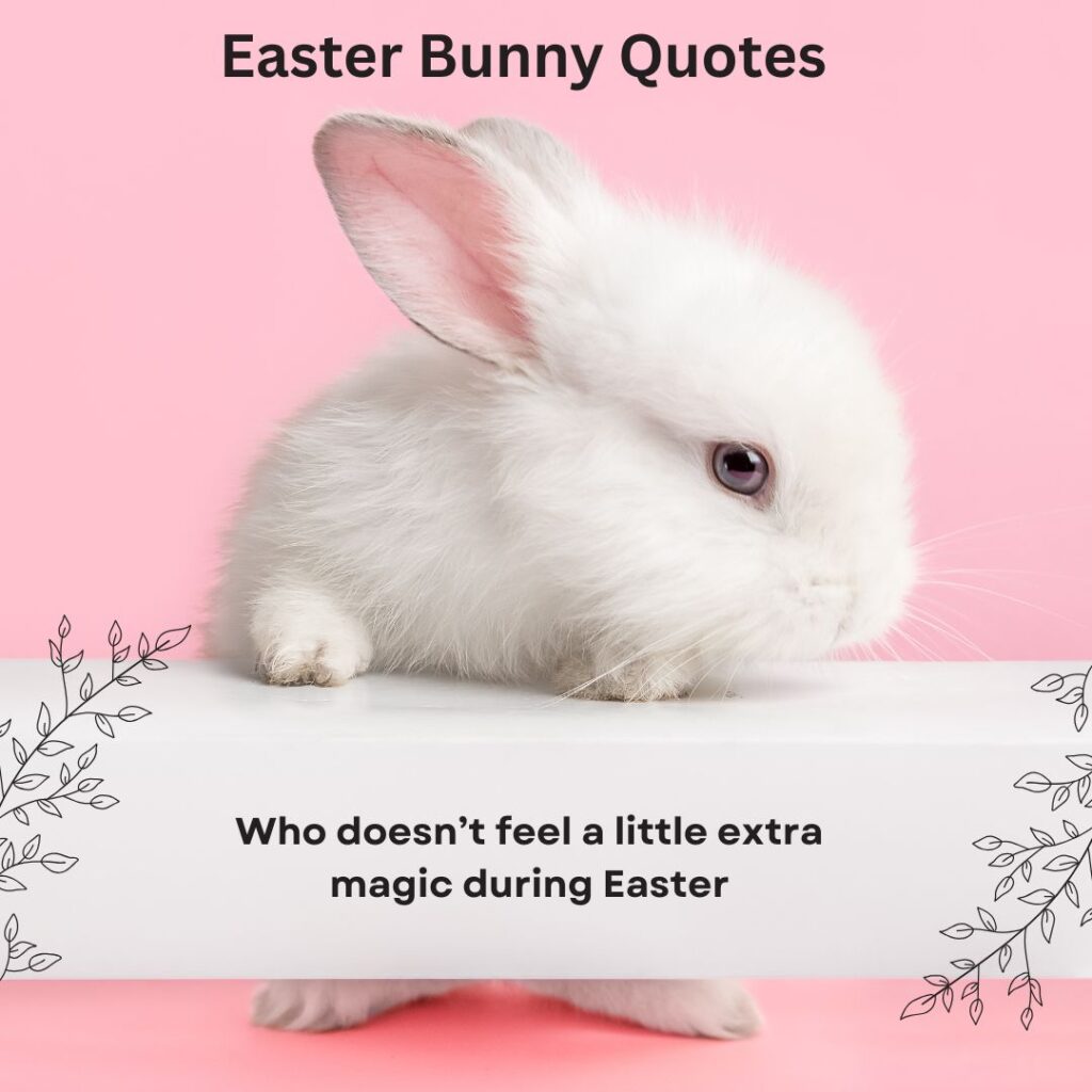 Easter Bunny Quotes