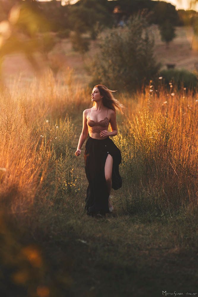 Forest or Nature Walk Image