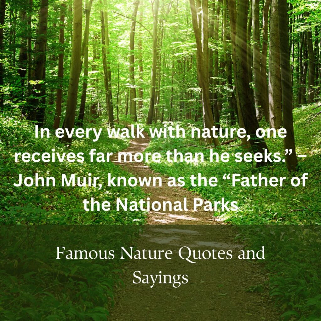 Famous Nature Quotes and Sayings