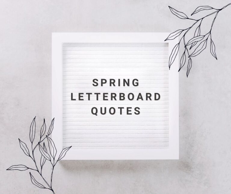 Spring Letterboard Quotes to Brighten Your Home and Spirit