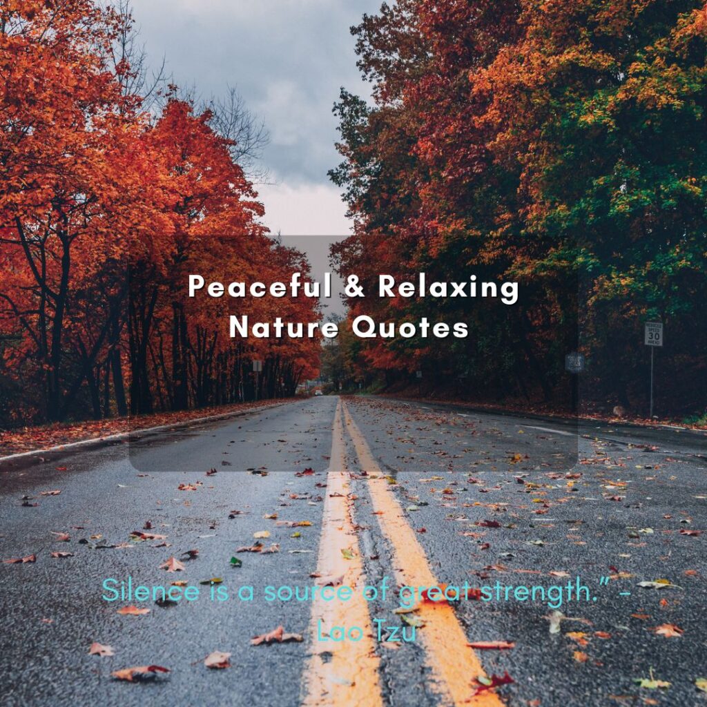 Peaceful & Relaxing Nature Quotes