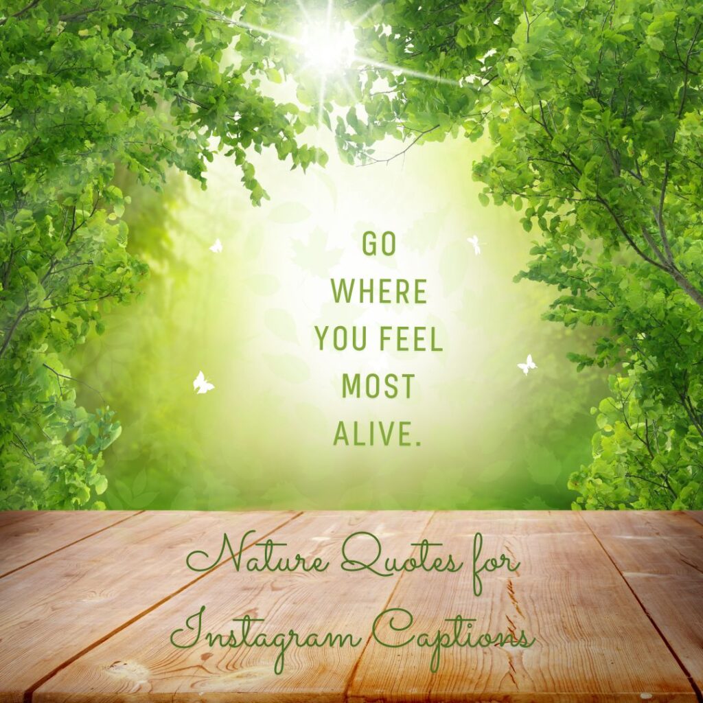 Nature Quotes for Instagram Captions
