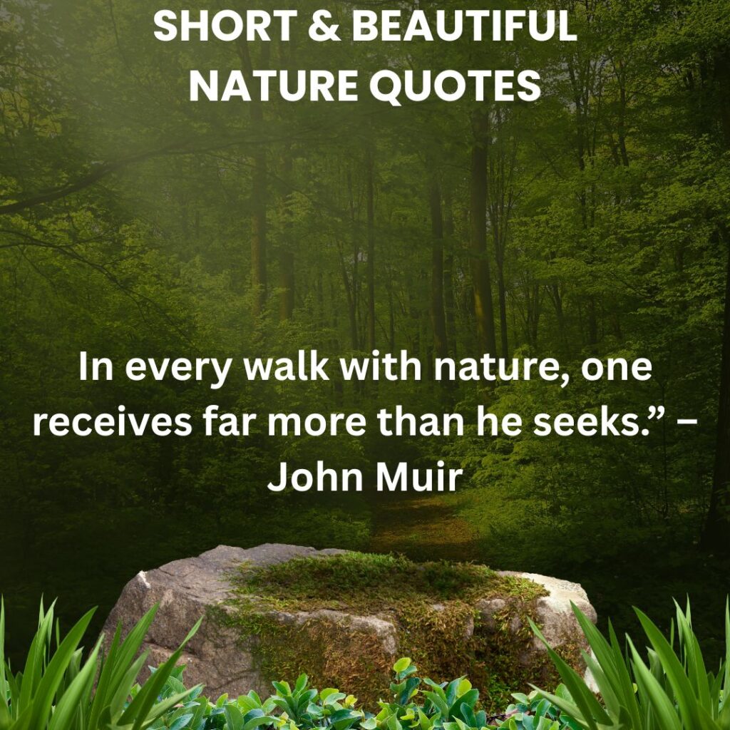 Short & Beautiful Nature Quotes