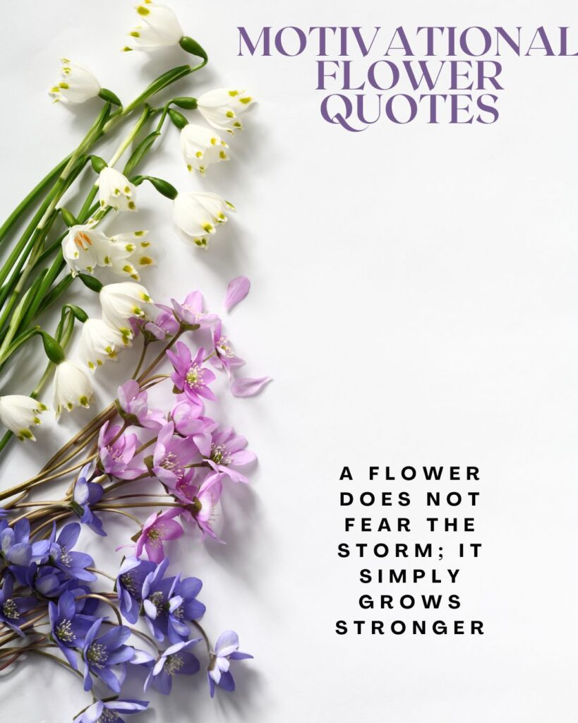 Motivational Flower Quotes