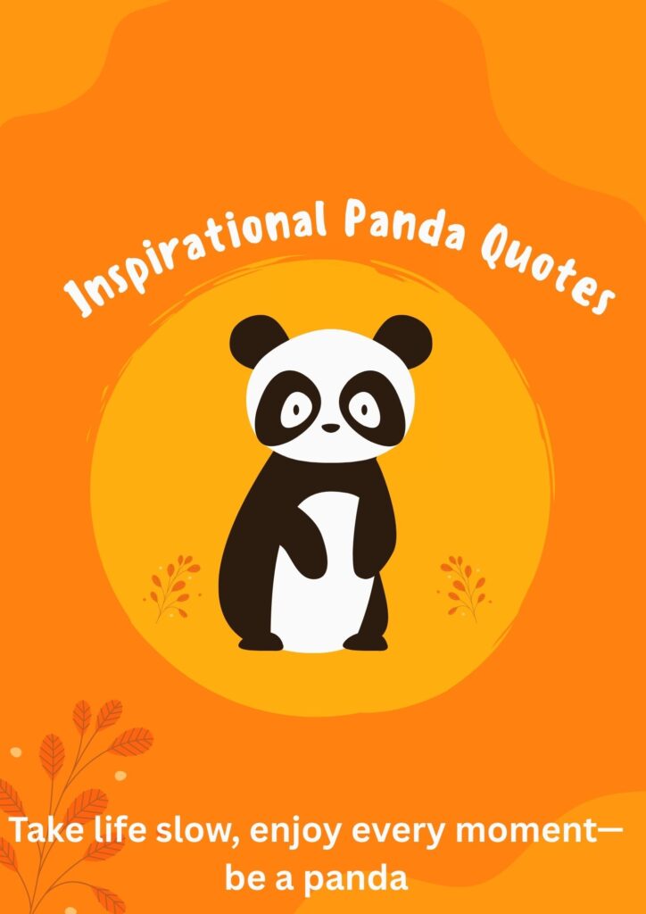 Inspirational Panda Quotes
