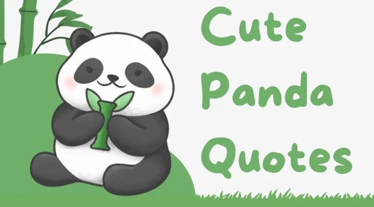 100+ Cute Panda Quotes and Sayings to Make You Smile
